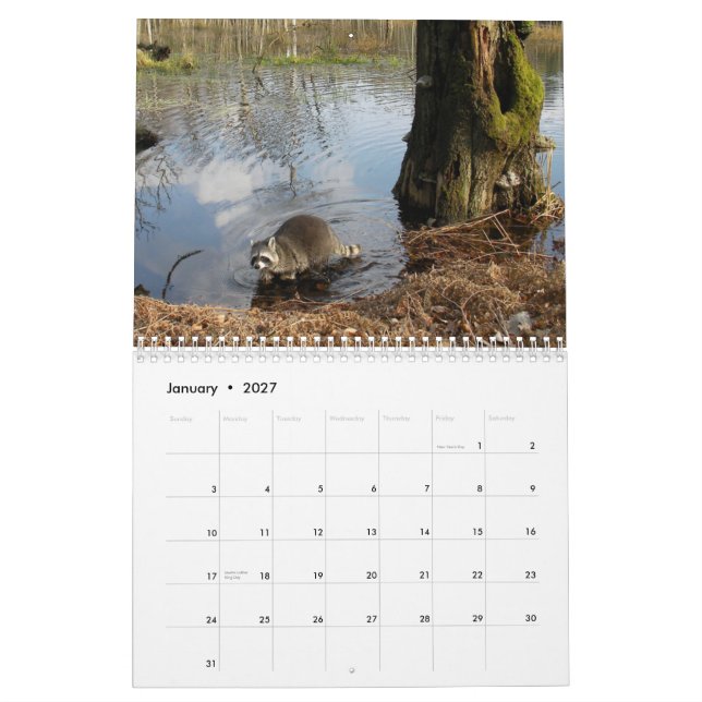 Calendario de los mapaches (Jan 2027)