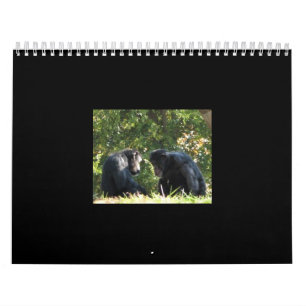calendario de los monos
