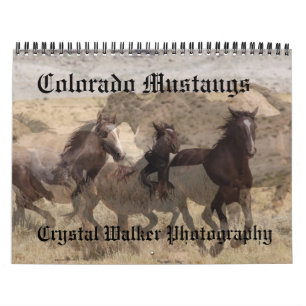 Calendario de los mustangos de Colorado