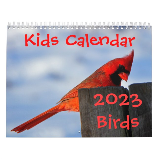 Calendario de los niños - 2015 - pájaros (Tapa)