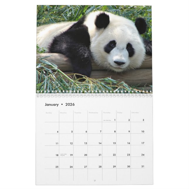 Calendario de los osos (Jan 2026)