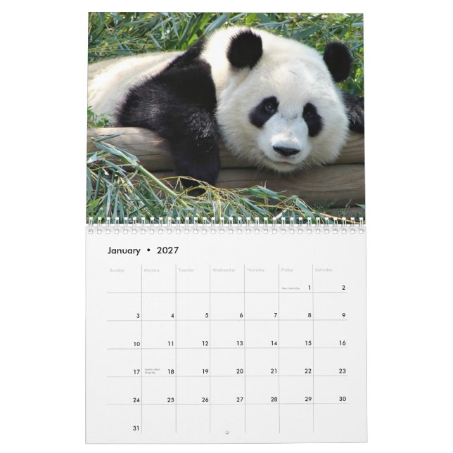 Calendario de los osos (Jan 2027)