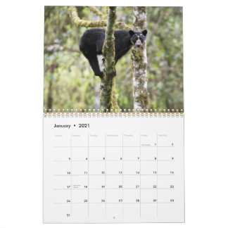 Calendario de los Osos Andinos II -15 meses 1/2012