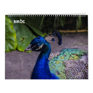 calendario de los pájaros