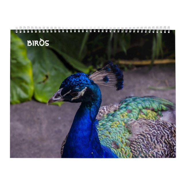 calendario de los pájaros (Tapa)