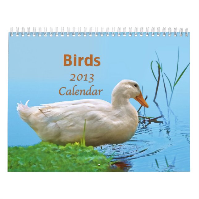 Calendario de los pájaros 2013 (Tapa)