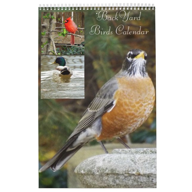 Calendario de los pájaros del patio trasero (Tapa)
