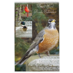 Calendario de los pájaros del patio trasero