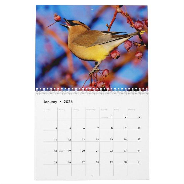 Calendario de los pájaros y de las floraciones (Jan 2026)