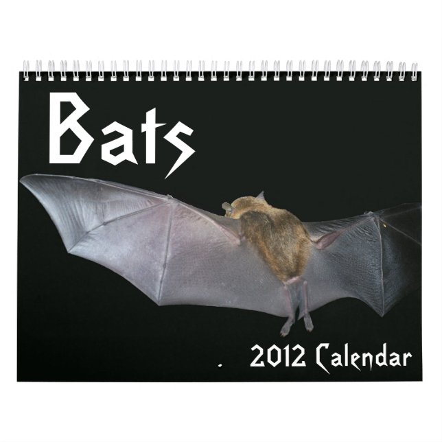 Calendario de los palos (Tapa)