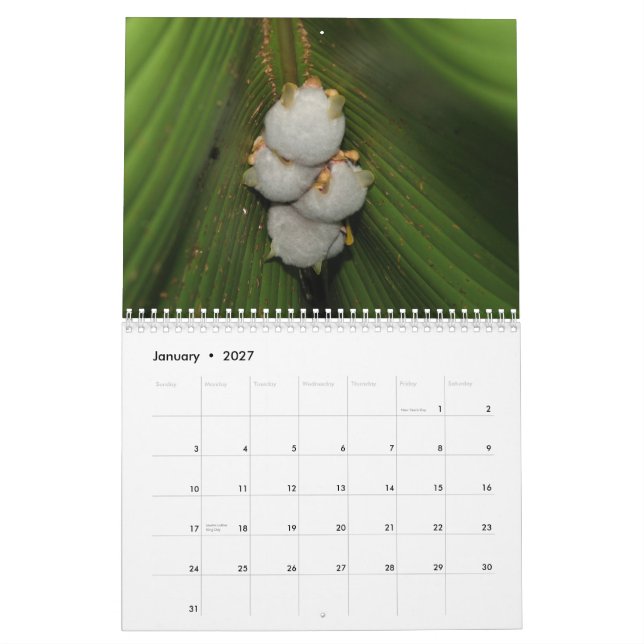 Calendario de los palos (Jan 2027)
