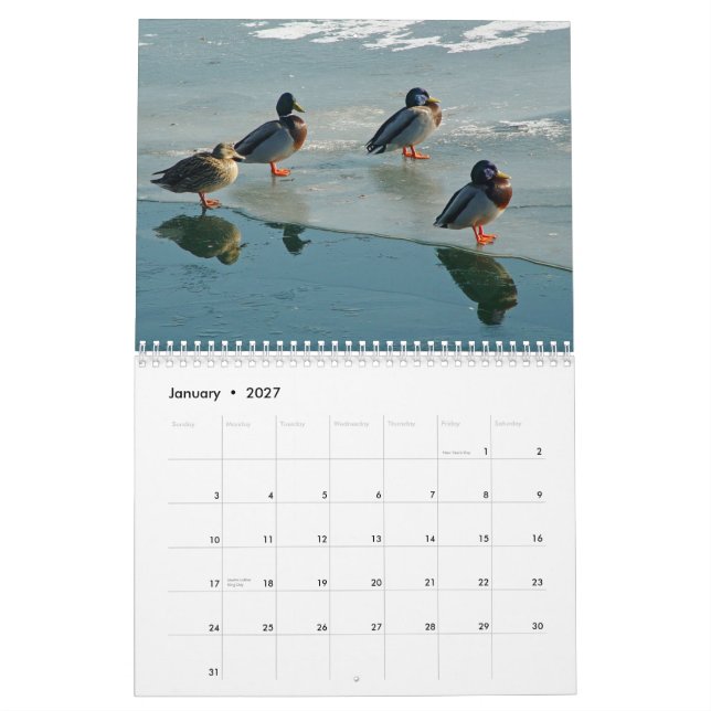 Calendario de los patos (Jan 2027)