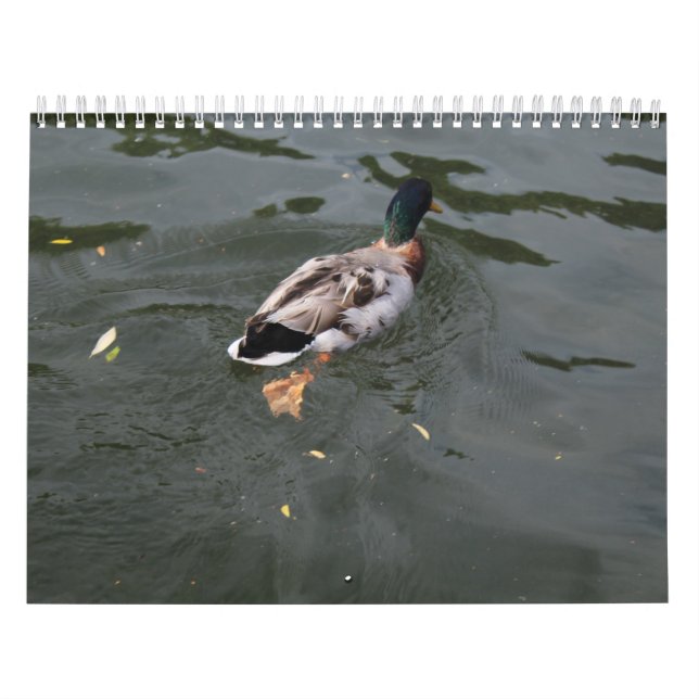 Calendario de los Patos Salvajes 2022 (Tapa)