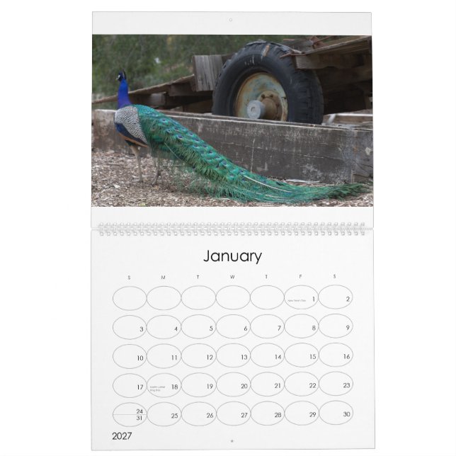 Calendario de los pavos reales (Jan 2027)