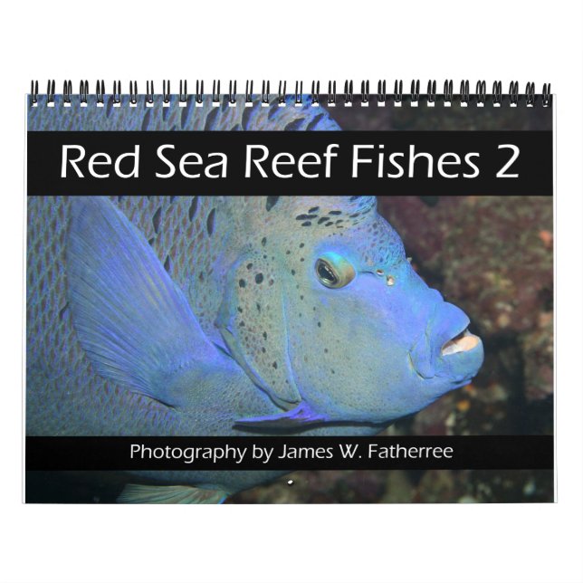 Calendario de los peces de arrecife del Mar Rojo 2 (Tapa)