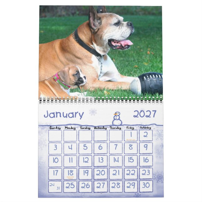 Calendario de los perritos 2010 del boxeador (Jan 2027)