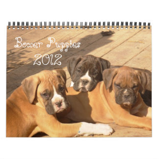 Calendario de los perritos 2012 del boxeador
