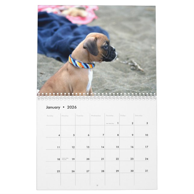 Calendario de los perritos 2013 del boxeador (Jan 2026)