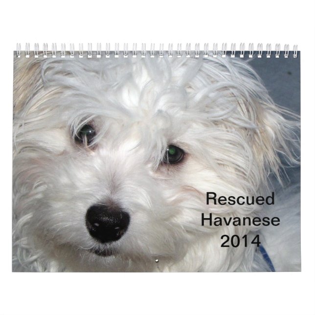 Calendario de los perritos 2014 de Havanese del (Tapa)