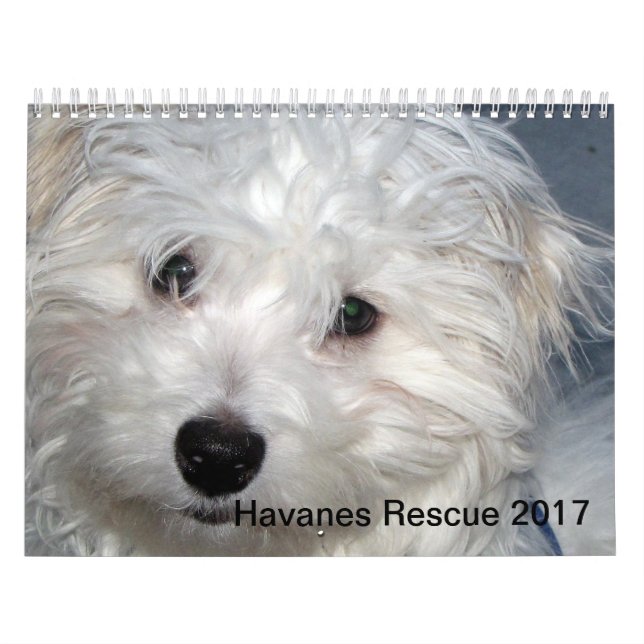 Calendario de los perritos 2014 de Havanese del (Tapa)
