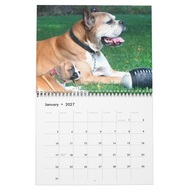 Calendario de los perritos 2015 del boxeador (Jan 2027)
