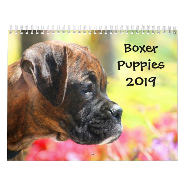 Calendario de los perritos 2019 del boxeador (Tapa)