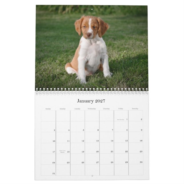 Calendario de los perritos de Bretaña (Jan 2027)