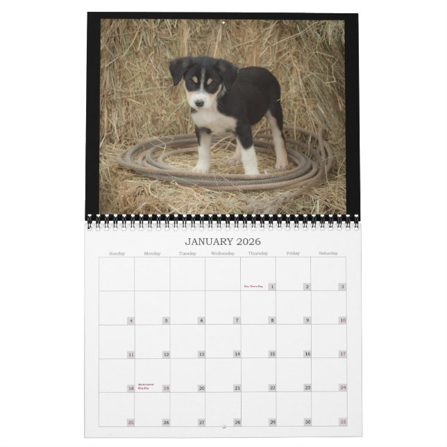 Calendario de los perritos de la granja (Jan 2026)