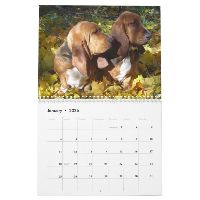 Calendario de los perros de afloramiento 2012 (Jan 2026)