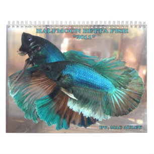Calendario de los pescados de Betta de la media