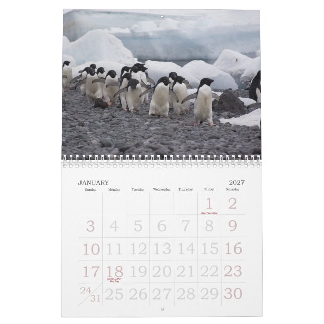 Calendario de los pingüinos de la Antártida (Jan 2027)