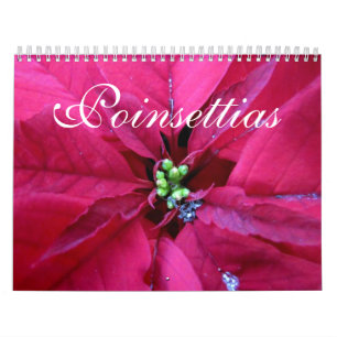 Calendario de los Poinsettias