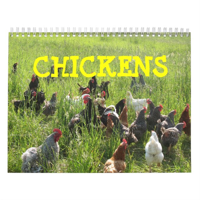 Calendario de los pollos (Tapa)