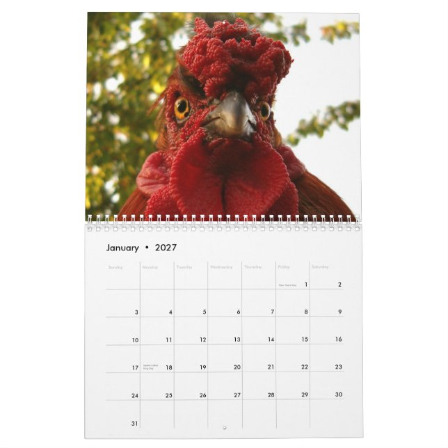 Calendario de los pollos y de los gallos (Jan 2027)
