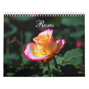 Calendario de los rosas 2012