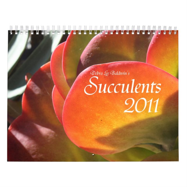 Calendario de los Succulents 2011 (Tapa)