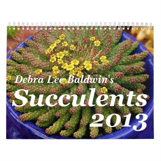 Calendario de los Succulents 2013 de Debra Lee Bal (Tapa)