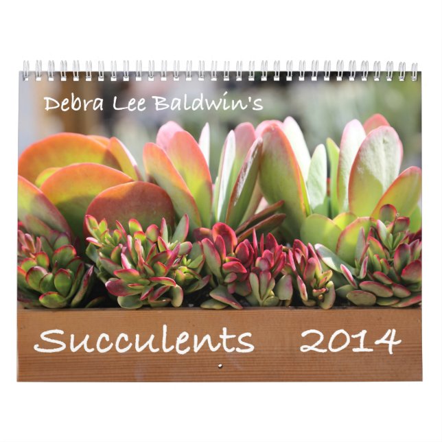 Calendario de los Succulents 2014 de Debra Lee (Tapa)