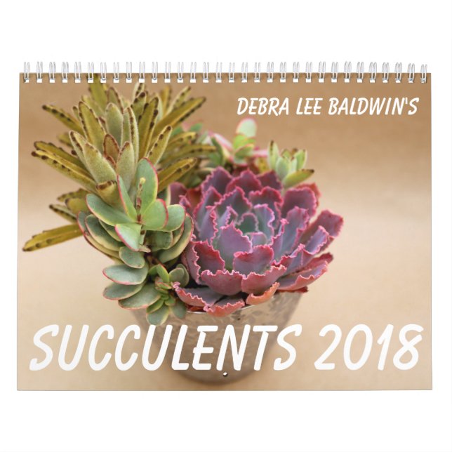 Calendario de los Succulents 2018 de Debra Lee (Tapa)