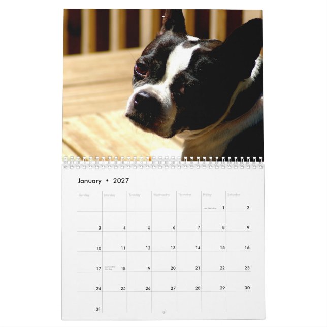 Calendario de los terrieres de Boston (Jan 2027)