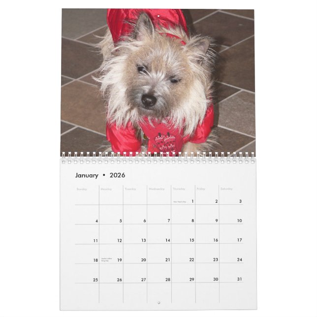 Calendario de los terrieres de mojón 2011 (Jan 2026)