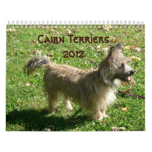 Calendario de los terrieres de mojón 2012