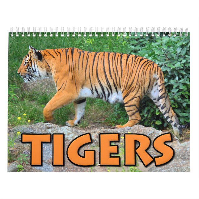 Calendario de los tigres (Tapa)