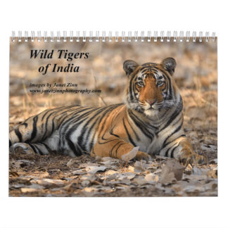 Calendario de los tigres salvajes de la India