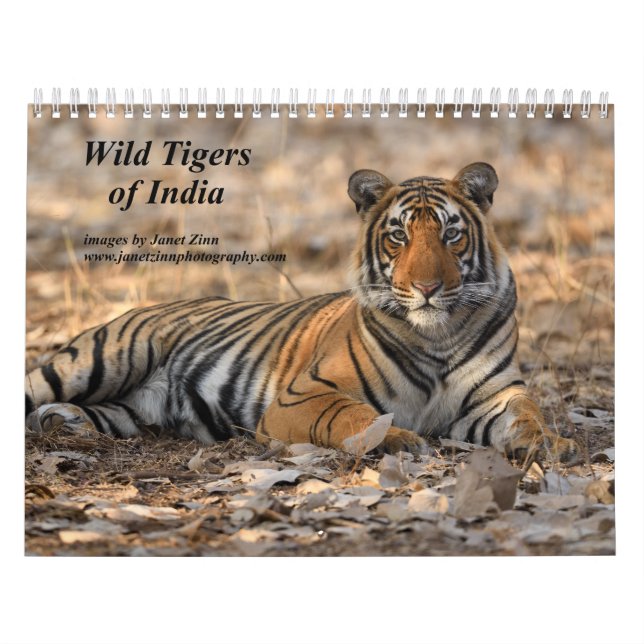 Calendario de los tigres salvajes de la India (Tapa)
