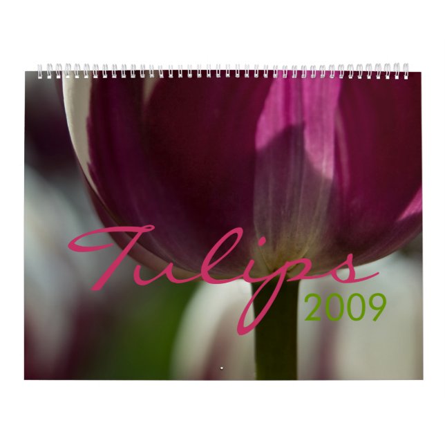 Calendario de los tulipanes 2009 (Tapa)