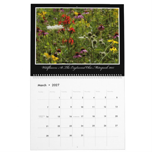 Calendario de los Wildflowers 2017 de Thomas (Mar 2027)