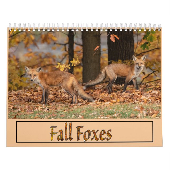 Calendario de los zorros de otoño (Tapa)