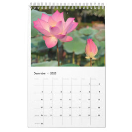 Calendario de Lotus rosa