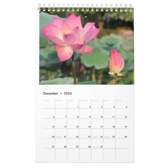 Calendario de Lotus rosa (Dec 2026)